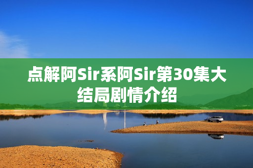 点解阿Sir系阿Sir第30集大结局剧情介绍