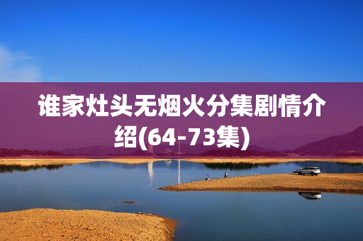 谁家灶头无烟火分集剧情介绍(64-73集)