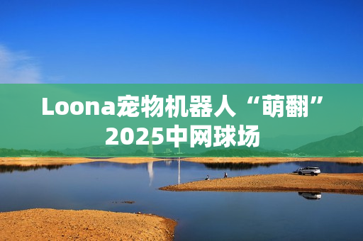 Loona宠物机器人“萌翻”2025中网球场