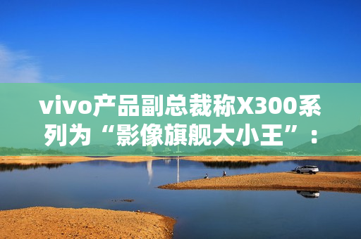 vivo产品副总裁称X300系列为“影像旗舰大小王”：没有标准版