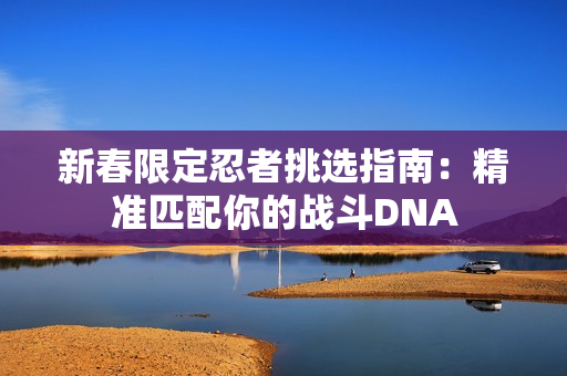 新春限定忍者挑选指南：精准匹配你的战斗DNA