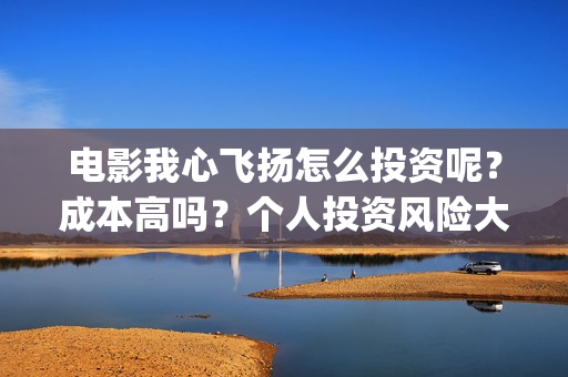 电影我心飞扬怎么投资呢？成本高吗？个人投资风险大吗？门槛多少？(我心飞扬导演)