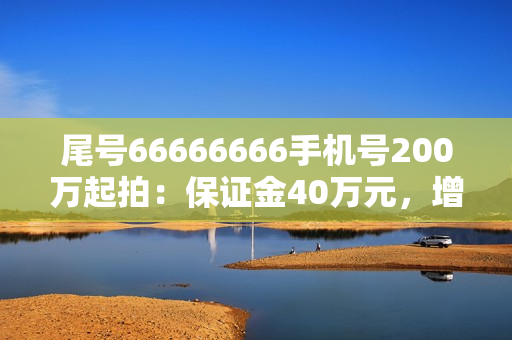 尾号66666666手机号200万起拍：保证金40万元，增价幅度1万元