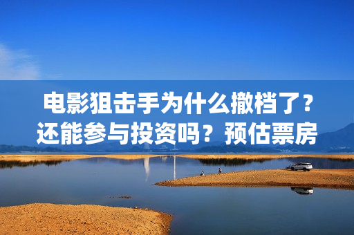 电影狙击手为什么撤档了？还能参与投资吗？预估票房能有多少呢？(狙击手电影为什么撤档)