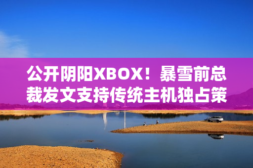 公开阴阳XBOX!暴雪前总裁发文支持传统主机独占策略 公开阴阳XBOX!暴雪前总裁发文支持传统主机独占策略