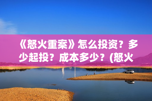《怒火重案》怎么投资？多少起投？成本多少？(怒火重案说的是什么)