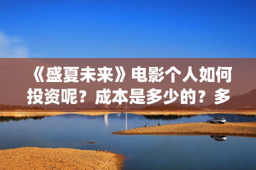 《盛夏未来》电影个人如何投资呢？成本是多少的？多少起投呢、(盛夏未来高清版)