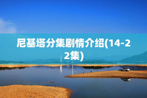 尼基塔分集剧情介绍(14-22集)