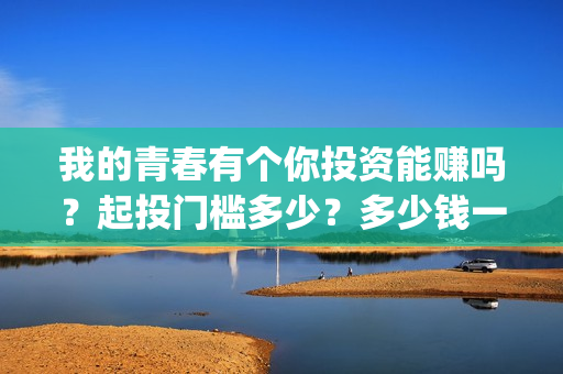 我的青春有个你投资能赚吗？起投门槛多少？多少钱一份？(我的青春有个你结局)