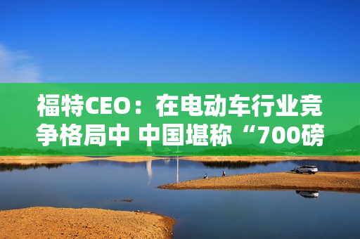 福特CEO：在电动车行业竞争格局中 中国堪称“700磅重大猩猩”