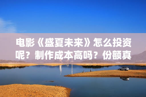 电影《盛夏未来》怎么投资呢？制作成本高吗？份额真实吗？在哪投？(盛夏未来 电影简介)