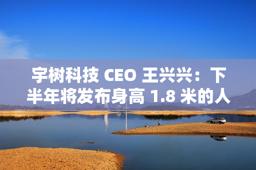宇树科技 CEO 王兴兴：下半年将发布身高 1.8 米的人形机器人