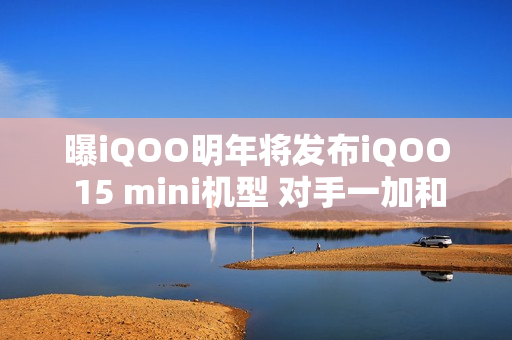 曝iQOO明年将发布iQOO 15 mini机型 对手一加和小米？