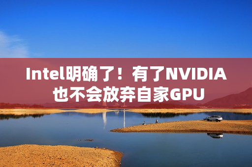 Intel明确了！有了NVIDIA 也不会放弃自家GPU