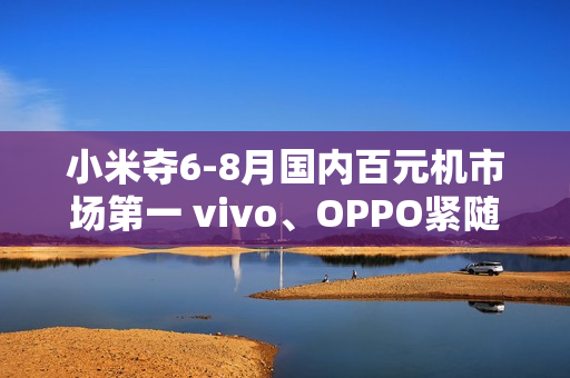 小米夺6-8月国内百元机市场第一 vivo、OPPO紧随其后