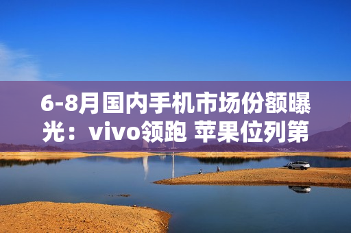 6-8月国内手机市场份额曝光：vivo领跑 苹果位列第六
