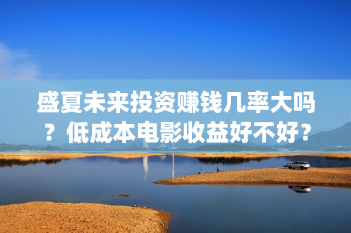 盛夏未来投资赚钱几率大吗？低成本电影收益好不好？(盛夏未来怎么投资)