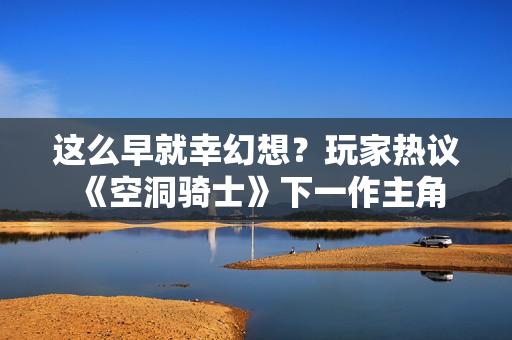 这么早就幸幻想？玩家热议《空洞骑士》下一作主角