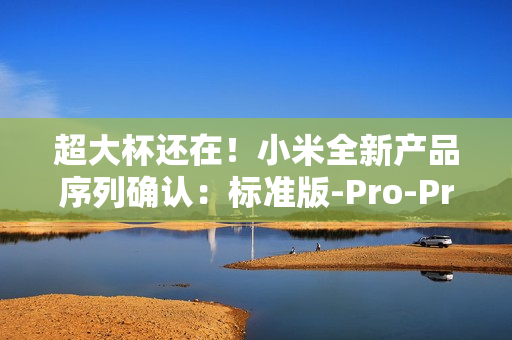 超大杯还在！小米全新产品序列确认：标准版-Pro-Pro Max-Ultra