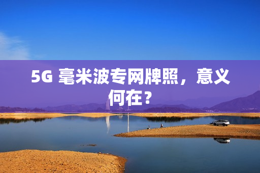 5G 毫米波专网牌照，意义何在？