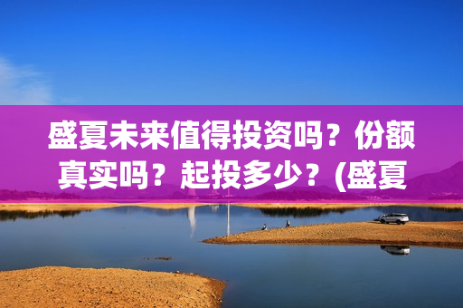 盛夏未来值得投资吗？份额真实吗？起投多少？(盛夏未来赚钱了吗)