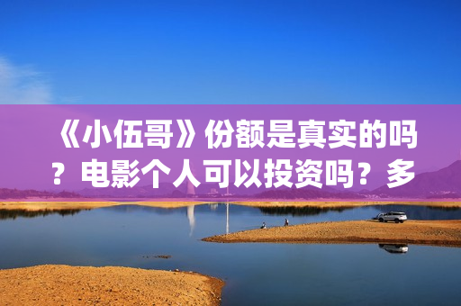 《小伍哥》份额是真实的吗？电影个人可以投资吗？多少起投呢？(电影小伍哥是哪家公司制片的)