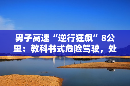 男子高速“逆行狂飙”8公里：教科书式危险驾驶，处罚结果引热议