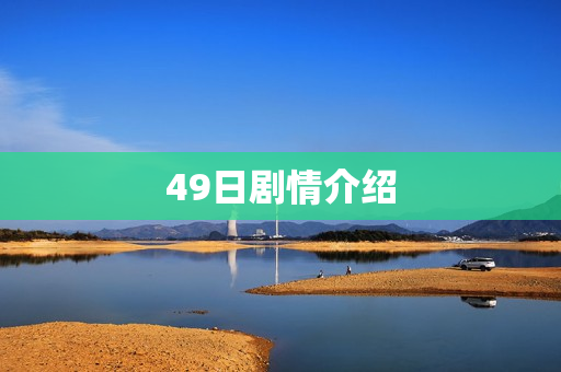 49日剧情介绍