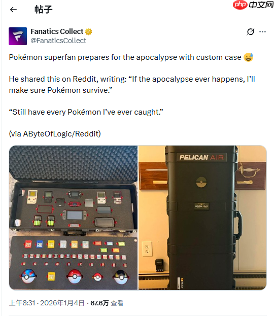 世界末日了怎么办？宝可梦玩家自制特殊游戏收纳箱