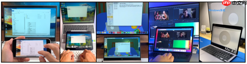 远程办公神器测评：向日葵与ToDesk的“专精”如何？