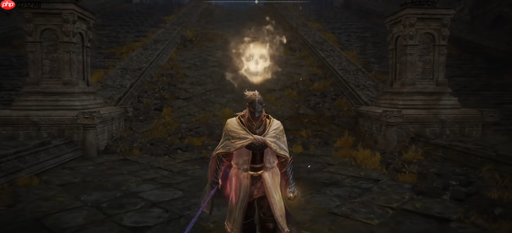 探索 Elden Ring DLC 守护灵祷告获取与高效用法秘诀