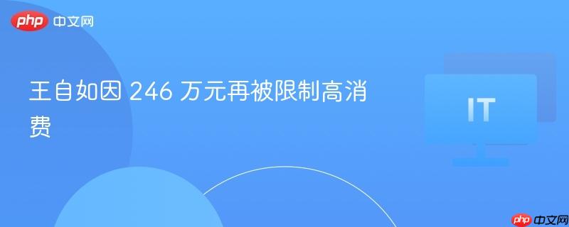王自如因 246 万元再被限制高消费