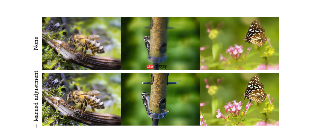 1秒将2D图片变3D!苹果AI图像新突破