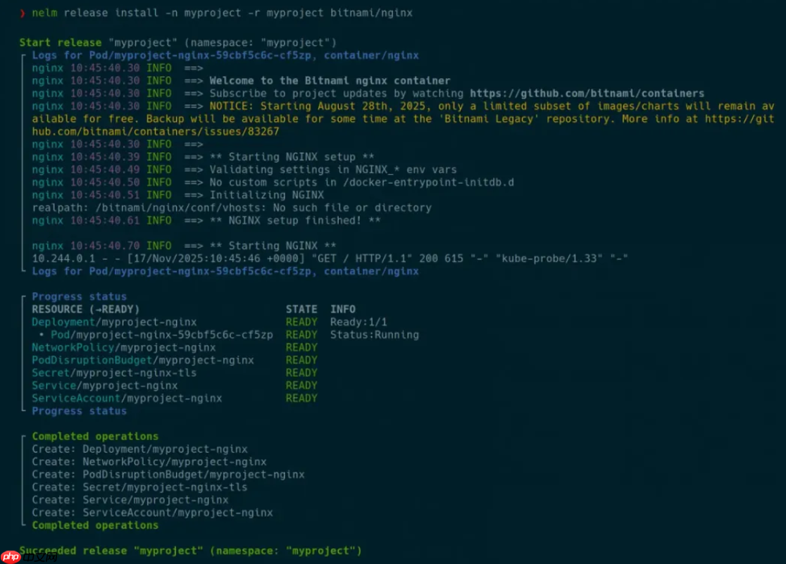 Nelm 与 Helm 4 的比较：现有差异与未来规划