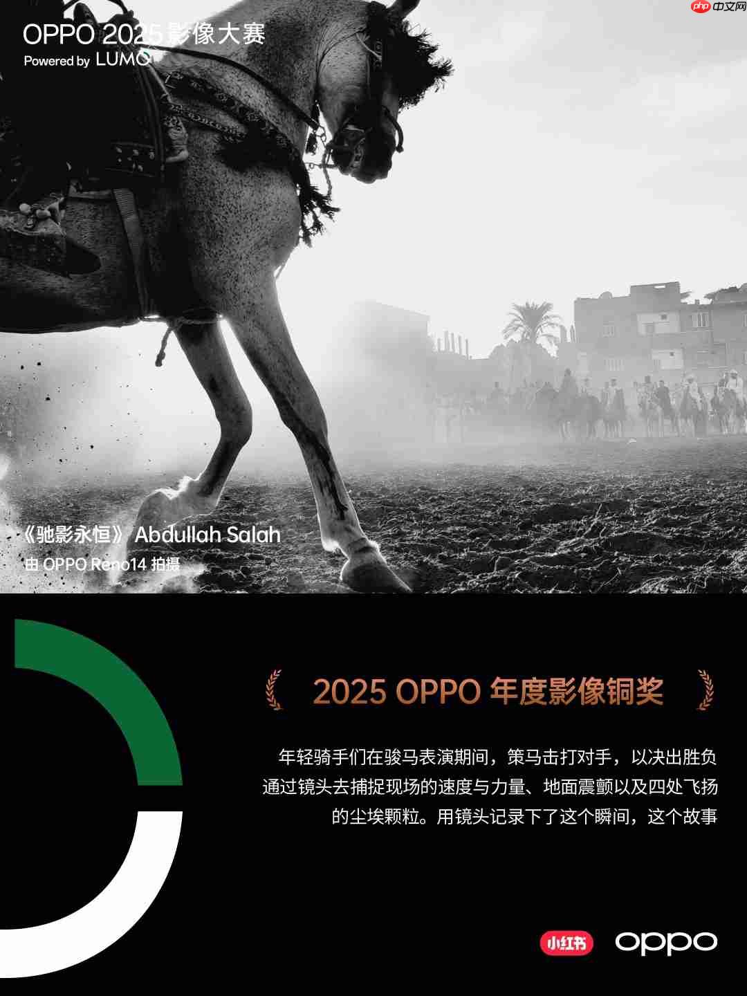 点亮感动时刻！OPPO 2025影像大赛获奖作品重磅揭晓