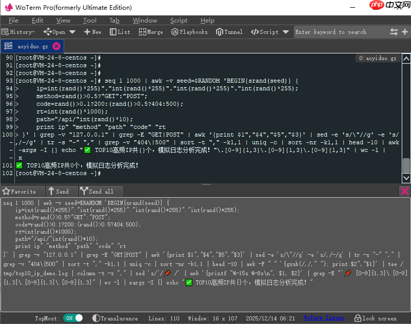 WoTerm v10.4.2 发布