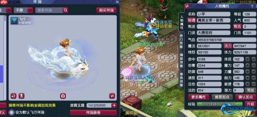 梦幻西游飞燕女全攻略：门派选择与养成技巧