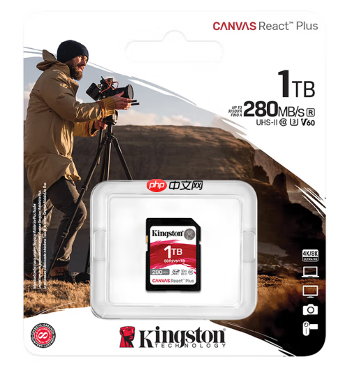 冬季外拍实力派 金士顿CanvasPlus系列存储卡