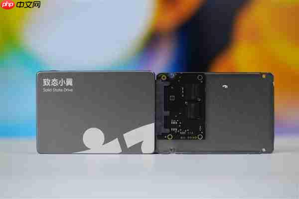 长江存储原厂颗粒！致态小翼S001 1TB SSD图赏