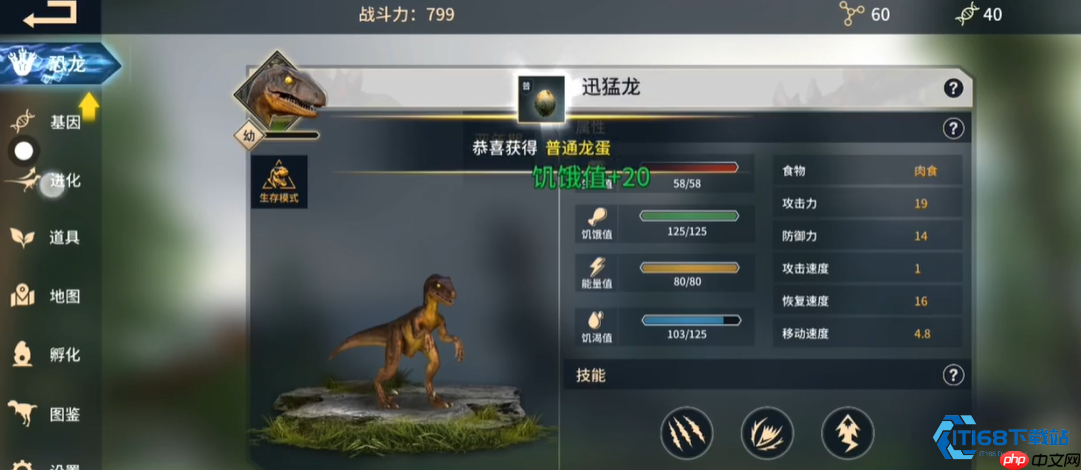  恐龙进化生存指南：从新手到霸主的进阶之路