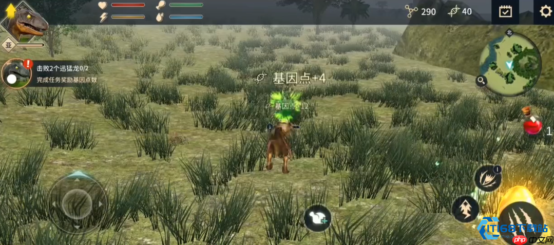  恐龙进化生存指南：从新手到霸主的进阶之路