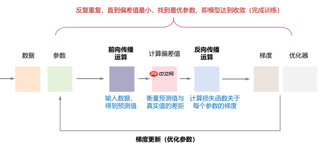一文看懂 AI 大模型的并行训练方式（DP、PP、TP、EP）