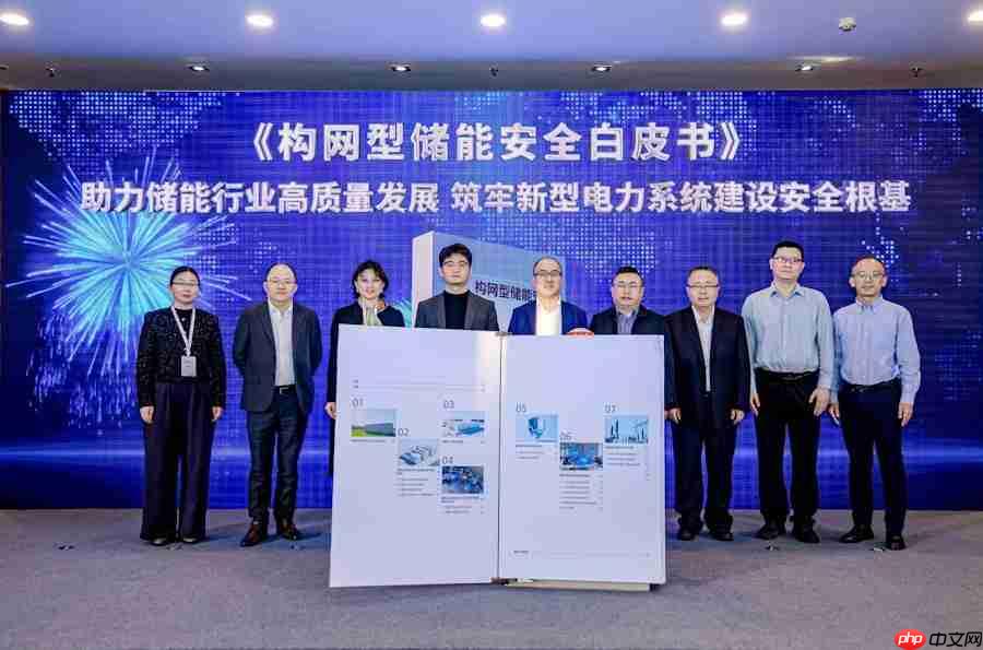 支撑新型电力系统高质量发展,构网型储能应用与发展论坛成功举办