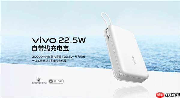 市场出现仿冒充电宝！vivo法务部：已报案