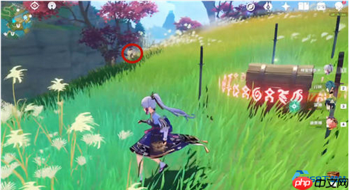 弩丘丘人宝箱解谜终极指南:元素视野与风之种技巧大揭秘