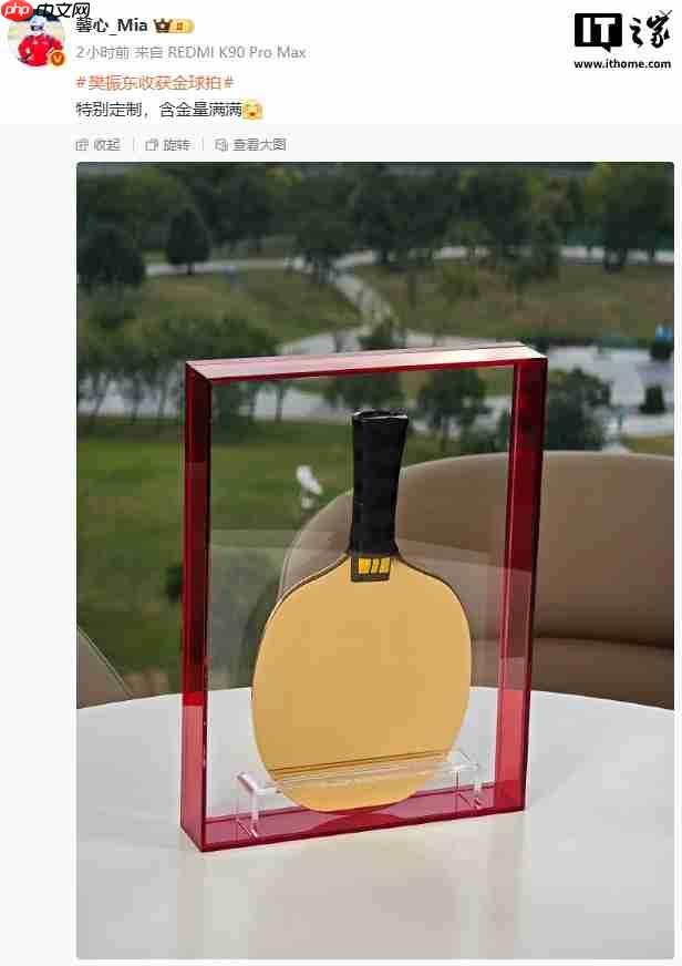 乒乓球超级全满贯樊振东任小米之家一日店长,获赠特别定制金球拍