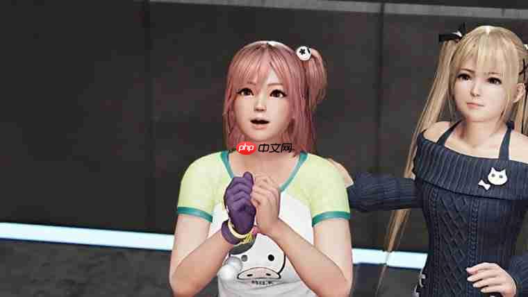 忍者组CEO谈《死或生》系列未来 可能会出第七部吧