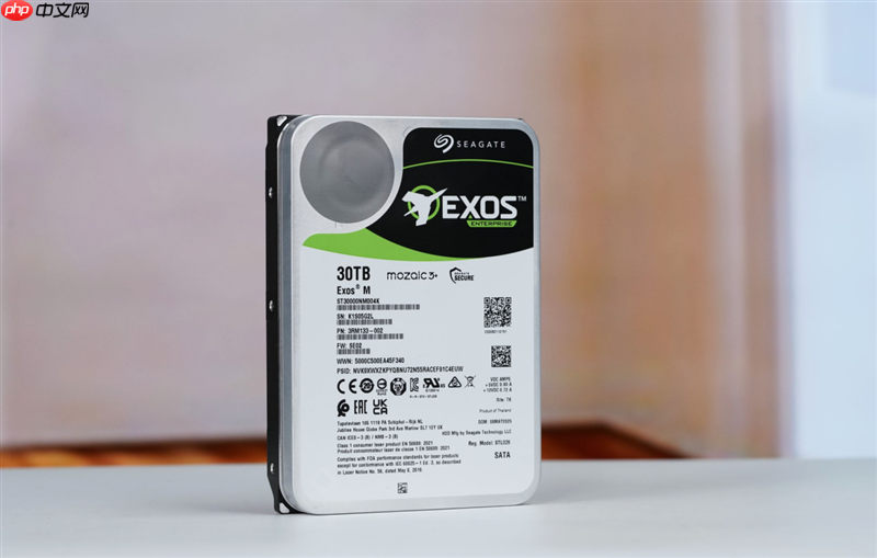 HAMR与CMR加持的稳定可靠企业级硬盘!希捷银河Exos M 30TB评测:读取逼近300MB/s