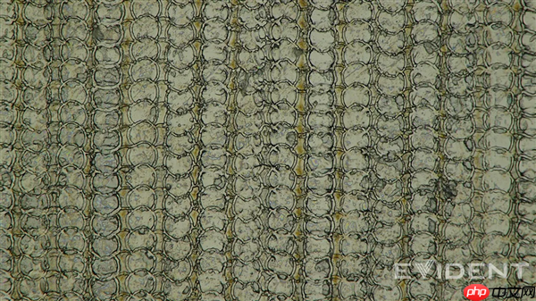 苹果又一突破：iPhone Air USB-C接口采用3D打印技术