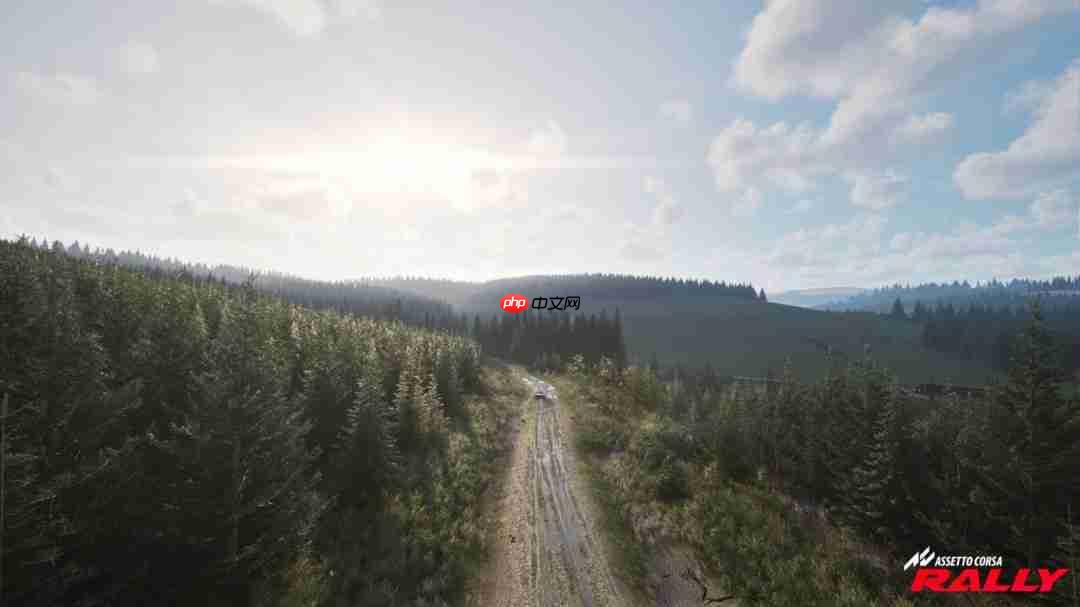 《神力科莎：拉力》Steam抢先体验开启 专业级拉力赛体验